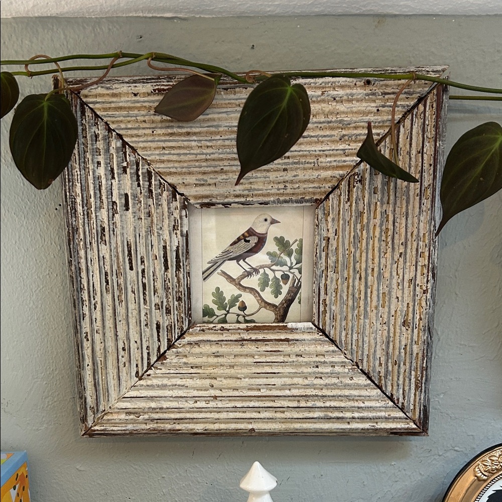 Vintage Distressed Bird Wall Art - Cream Distressed Frame Antique